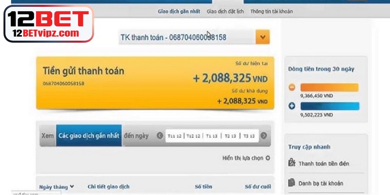 Các mục thông tin xuất hiện trong sao kê tài khoản 12BET